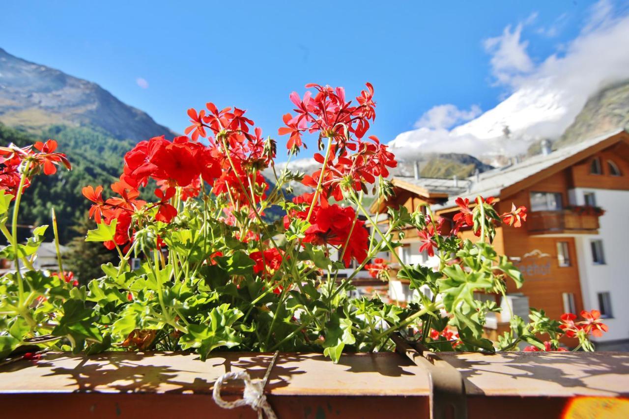 Hostel Imseng Saas-Fee Exterior photo